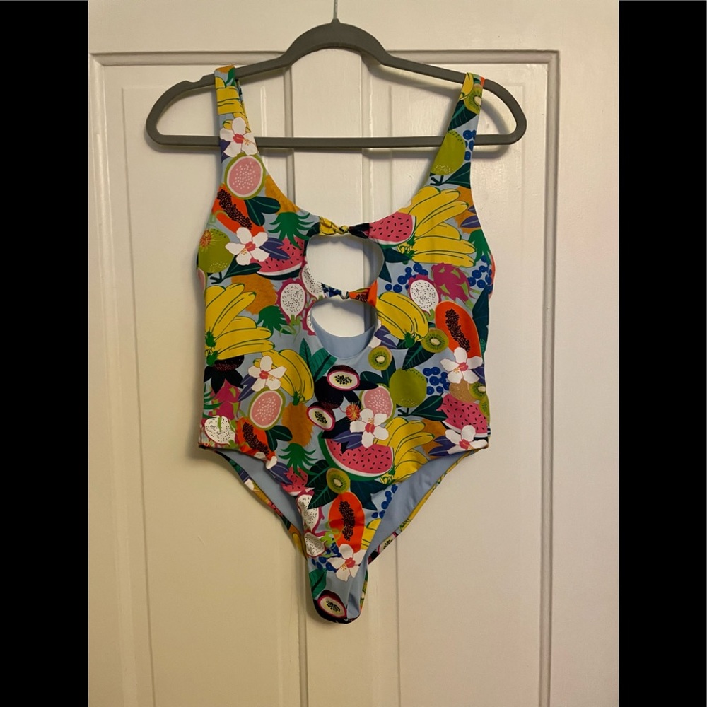 Dippin’ Daisy’s one piece swimsuit